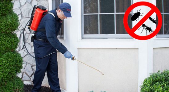 Vakfıkebir Kene İlaçlama böcek ilaçlama ve haşere kontrolü — ilaclama-tr.com